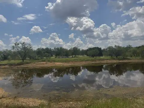 1681 Rcky Hollow Drive, Burnet, TX 78611