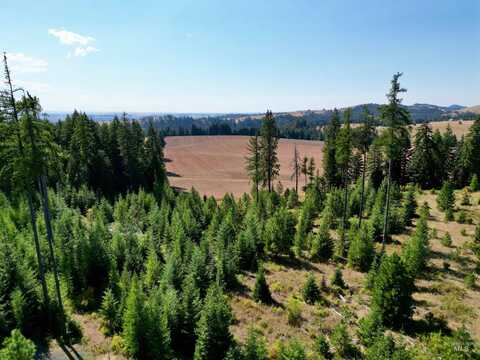 Parcel 1 Peaceful Valley, Kamiah, ID 83536