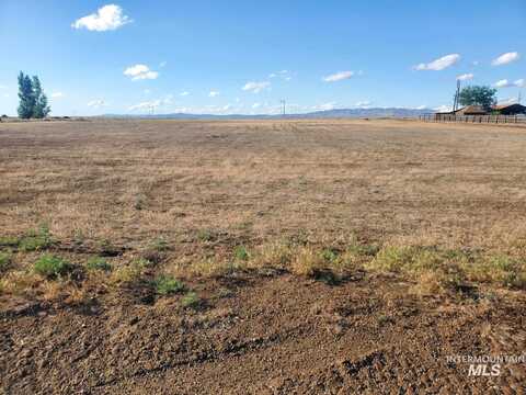 Kna Desert Duck, Mountain Home, ID 83647