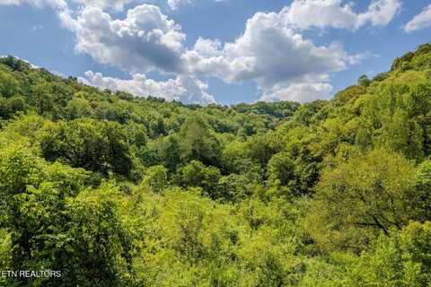 53.19ac Watts Hollow Rd, Buffalo Valley, TN 38548