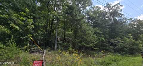 Goodson Trail, Monterey, TN 38574