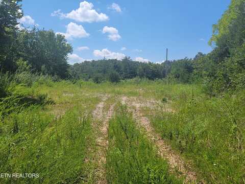 Satterfield Rd, Maynardville, TN 37807