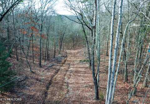 Hall & Tarwater St, Rockwood, TN 37854