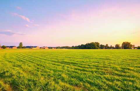 111 Carlton Crossing, Lawrenceburg, KY 40342