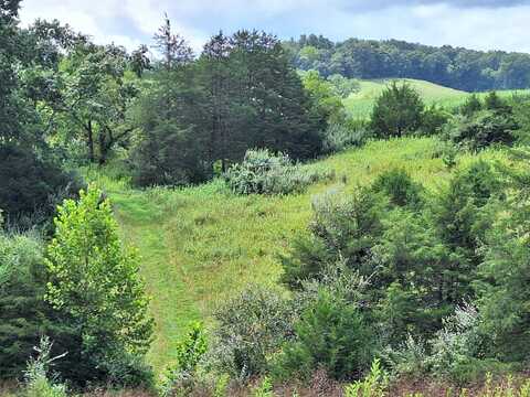 Tbd Forge Rd 608, Lexington, VA 24450