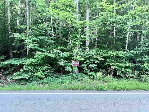 0 HWY 438, LOT 5, Lobelville, TN 37097