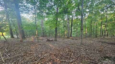 11a Nottingham Court, Lake Sherwood, MO 63357