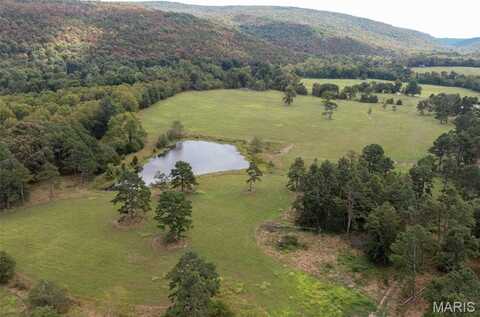 0 Off Hwy E, Fredericktown, MO 63645