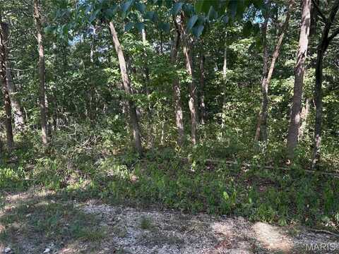 56 Turkey Trail, New Florence, MO 63363