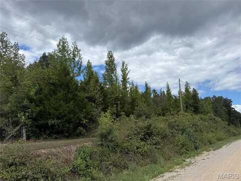 0 W County Road 482, Poplar Bluff, MO 63901