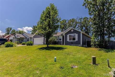 2101 Emmy Avenue, Lebanon, MO 65536