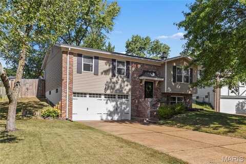 1211 Pine Trail, Fenton, MO 63026