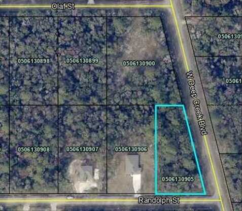 4800 RANDOLPH STREET, HASTINGS, FL 32145