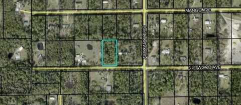 6044 NUTWOOD AVENUE, BUNNELL, FL 32110