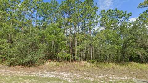 5912 N MATHESON DRIVE, CITRUS SPRINGS, FL 34434