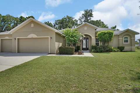 707 OSTRICH FERN LANE, DELAND, FL 32720