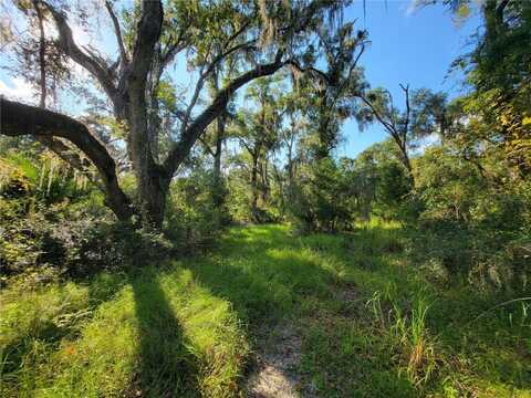 565 NE 833RD STREET, OLD TOWN, FL 32680