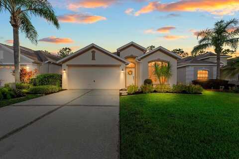 3203 BANYAN HILL LANE, LAND O LAKES, FL 34639