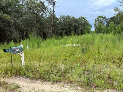 117 SUMAC STREET, INTERLACHEN, FL 32148