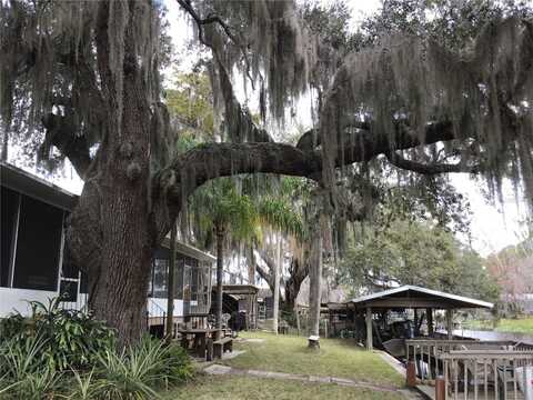 1659 BASS AVENUE, SEVILLE, FL 32190