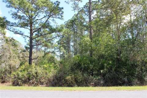 CASHEW STREET, EUSTIS, FL 32736