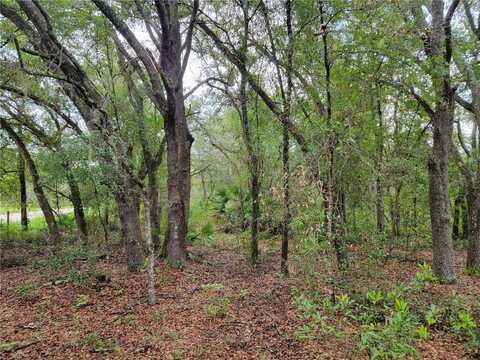 0 NE 110TH AVENUE, BRONSON, FL 32621