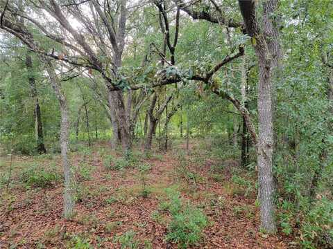 0 NE 110TH AVENUE, BRONSON, FL 32621