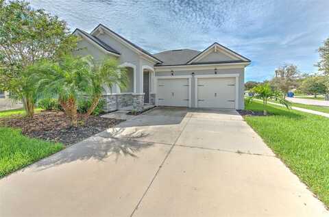 13201 ORCA SOUND DRIVE, RIVERVIEW, FL 33579