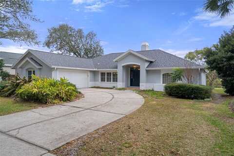 810 SANDRINGHAM LANE, LUTZ, FL 33549