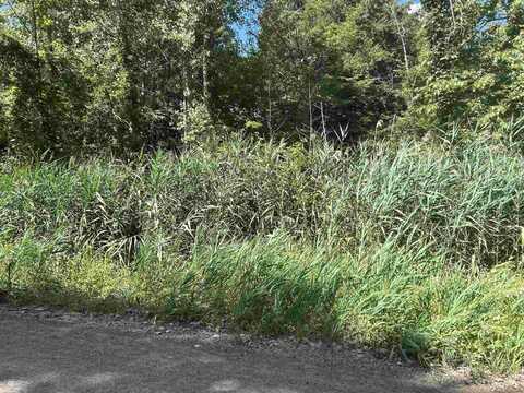 Lot 537 Woodbine, Lexington, MI 48450