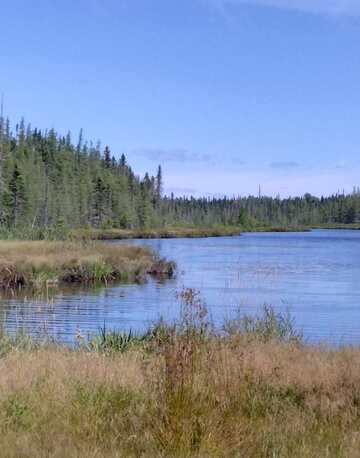 Lot 7 Caswell Woods Dernien Drive, Caswell, ME 04750