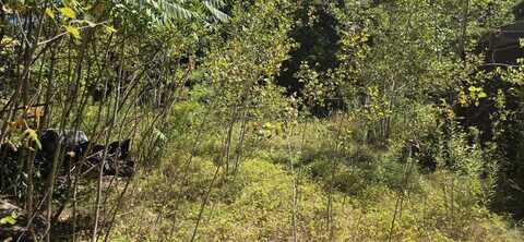 663 Morrill Pond Road, Hartland, ME 04943