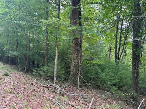 0 Cave Ridge, HINTON, WV 25951