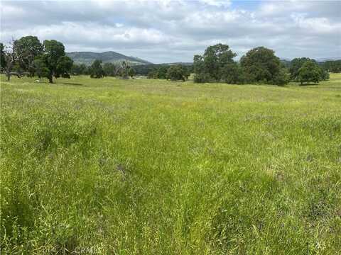 2463 Old Highway, Catheys Valley, CA 95306