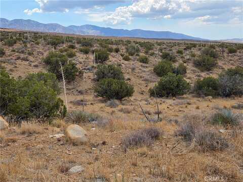 0 Vac/Vic 193rd St E Avenue, Llano, CA 93544