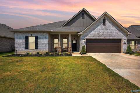 28329 Molly Bee Lane, Toney, AL 35773