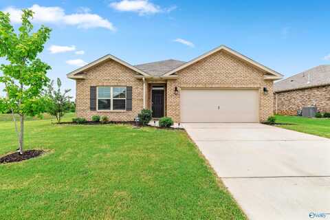 25104 Delilah Circle, Athens, AL 35613