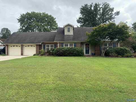 1316 Terrehaute Avenue, Decatur, AL 35601