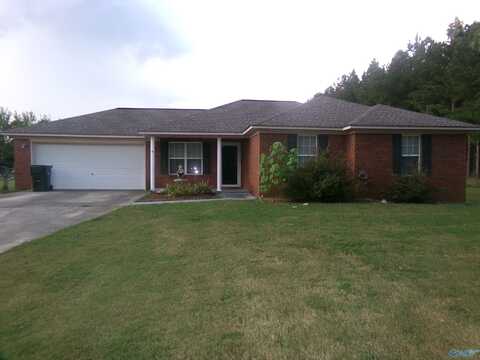 321 Shady Lane, Hazel Green, AL 35750