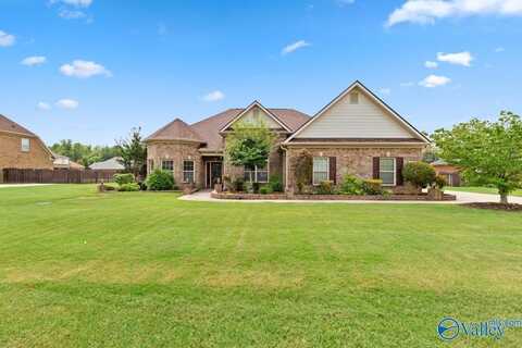 119 Twin Springs Drive, Harvest, AL 35749