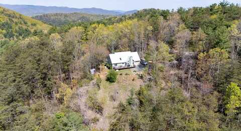 306 Pig Trail, Cherry Log, GA 30522