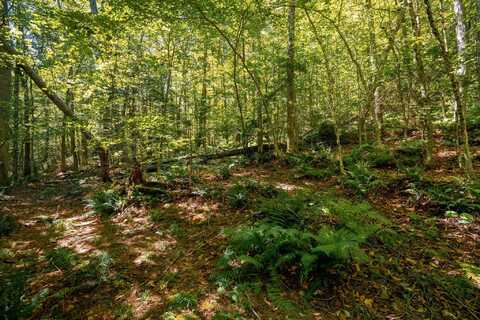 00 Turtle Rock Road, Stoddard, NH 03464