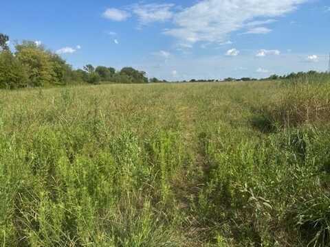 240 Vz County Road 3423, Wills Point, TX 75169