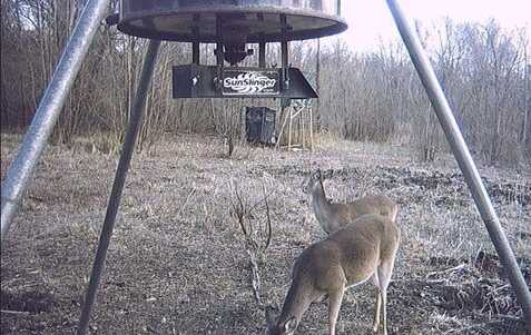 Tbd PR 5042, Bogata, TX 75417