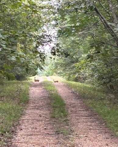 Tbd PR 5042, Bogata, TX 75417