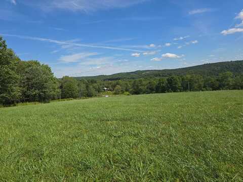 1WP Co Hwy 49, Pittsfield, NY 13411