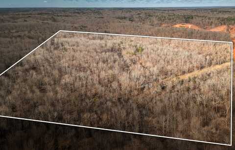 TBD County Road 513, Winona, MO 65588