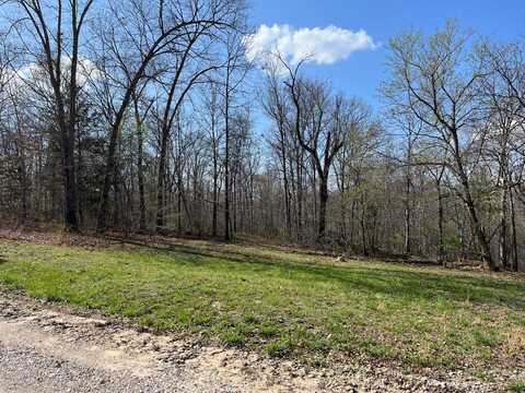 82 Lindberg Wood Lane, Cuba, MO 65453