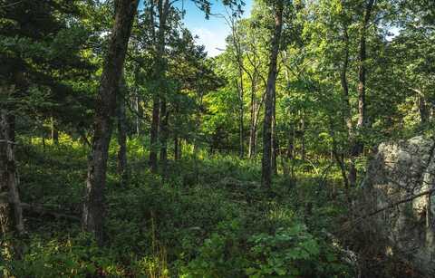 TBD Highway B, Ellington, MO 63638