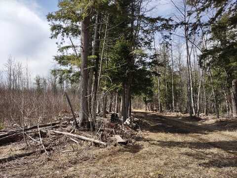 TBD Off Ohman Road, L'anse, MI 49946